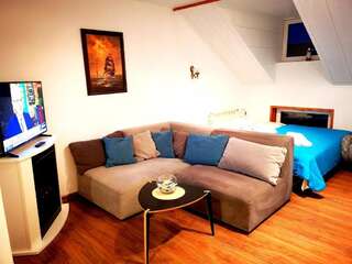 Апартаменты Meridian apartment with sauna Клайпеда Апартаменты с 1 спальней-18